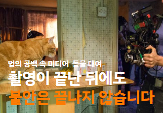법의 공백 속 미디어 동물 대여, 촬영이 끝난 뒤에도 불안은 끝나지 않습니다