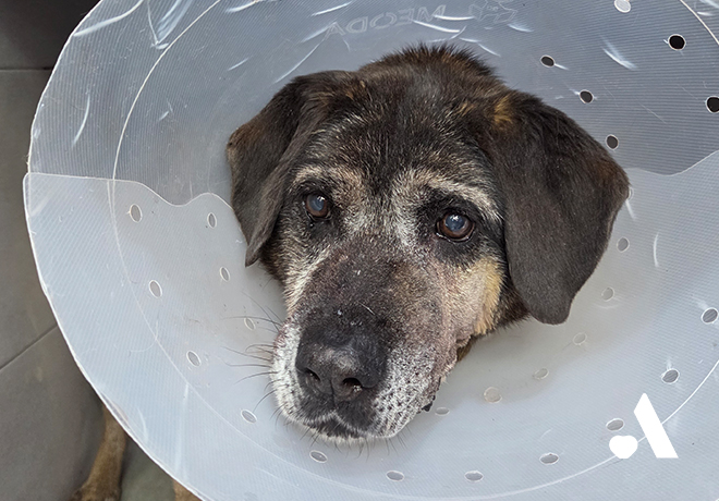 [건강소식] 경순이의 건강소식을 전해드립니다.