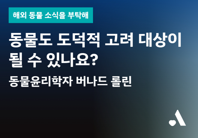 [해외 동물 소식을 부탁해] 동물도 도덕적 고려 대상이 될 수 있나요? (동물윤리학자 버나드 롤린)