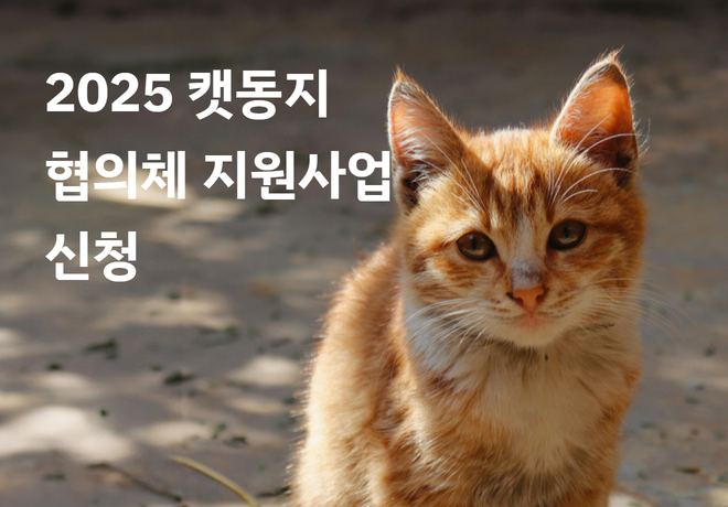 [신청] 2025년 캣동지 협의체 지원사업 (8월 15일까지 접수)