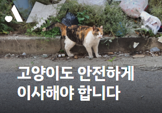 고양이도 안전하게 이사해야 합니다