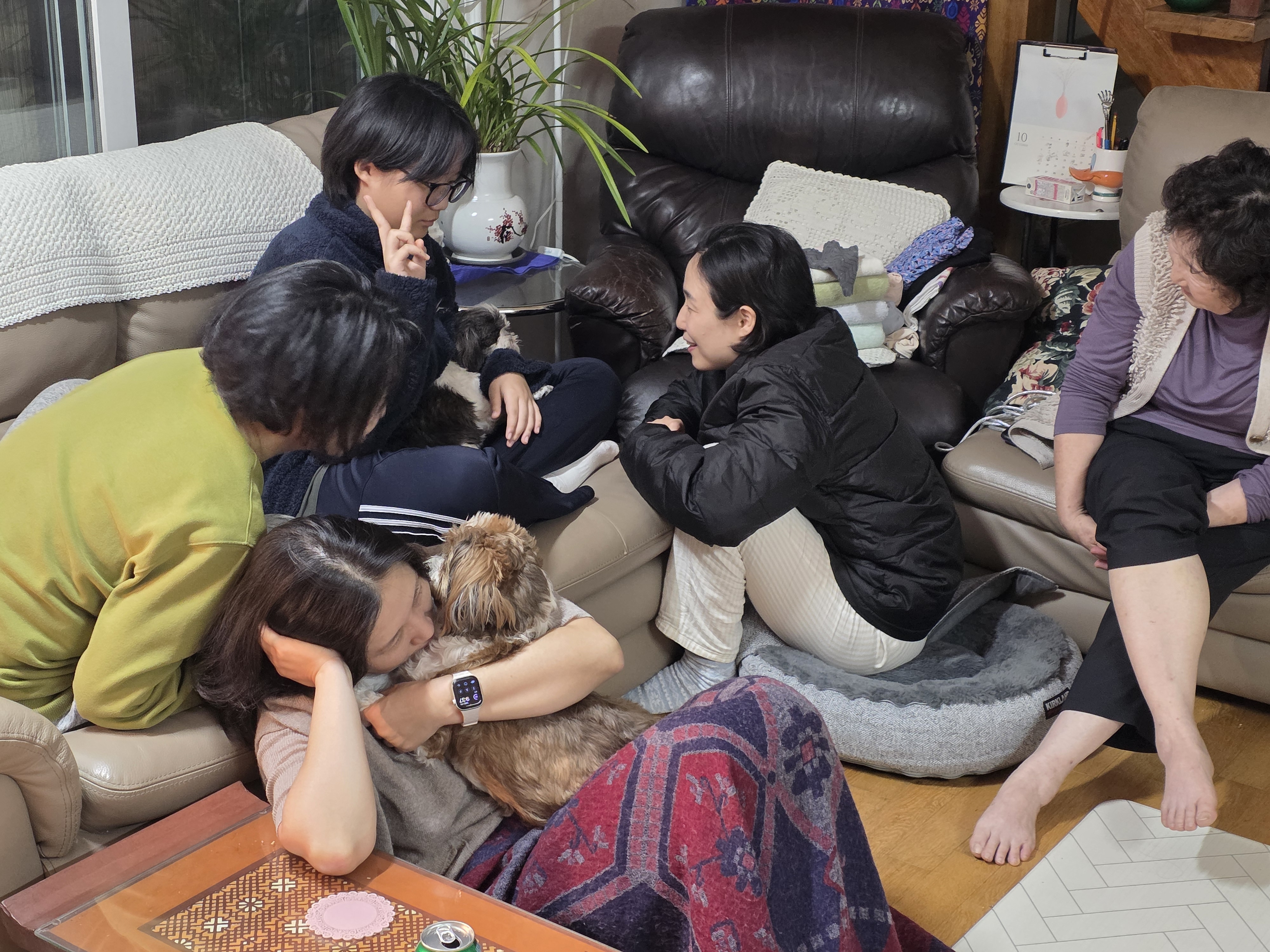 그래(입양 전 달바) 소식입니다^^