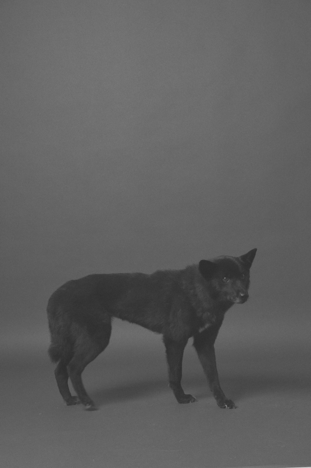 반달이와 가족사진