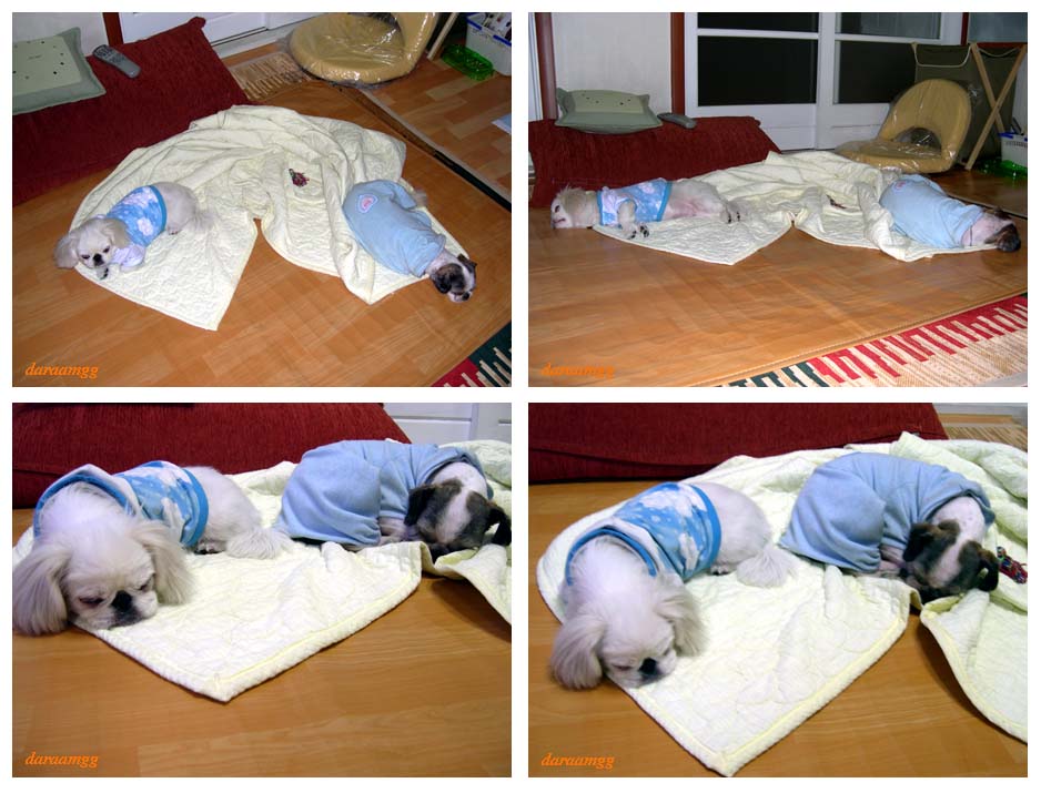 임시> 주안이 1일