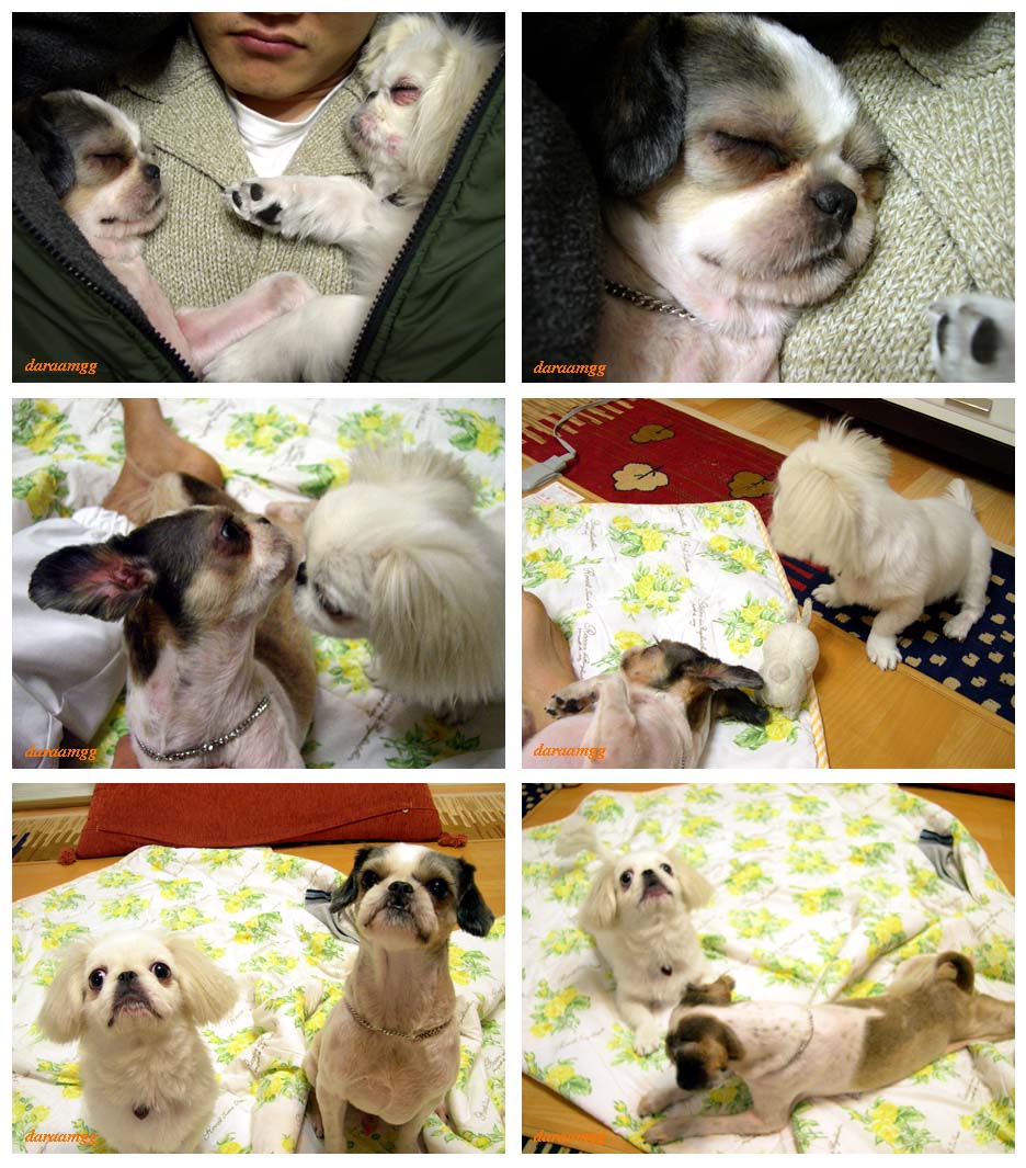 임시> 주안이 2일