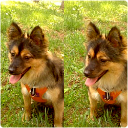 산책 중 베를린 ㅎ