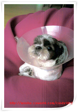 벌받을준비하고 있는 둥이맘 입니다^^;;