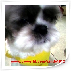 벌받을준비하고 있는 둥이맘 입니다^^;;