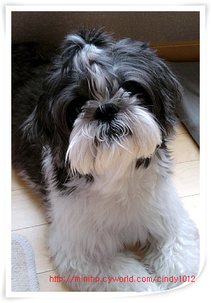 벌받을준비하고 있는 둥이맘 입니다^^;;