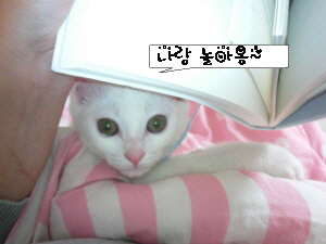 손바닥 만했던 꼬맹이..팔뚝만큼 컸어요.