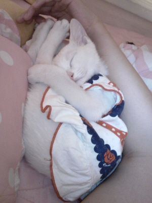 손바닥 만했던 꼬맹이..팔뚝만큼 컸어요.