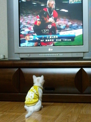 손바닥 만했던 꼬맹이..팔뚝만큼 컸어요.