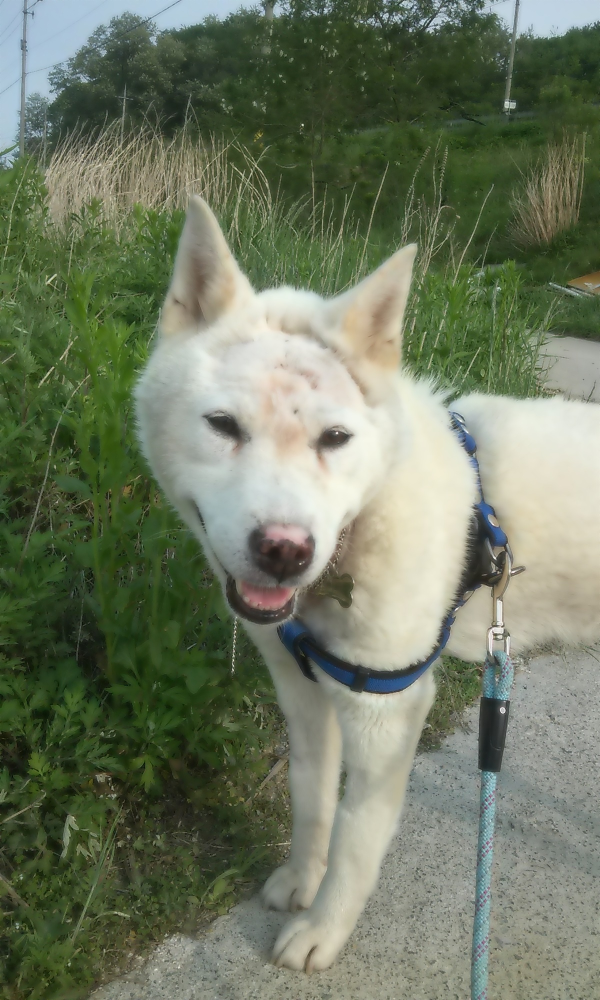 양양...사랑이 산책~