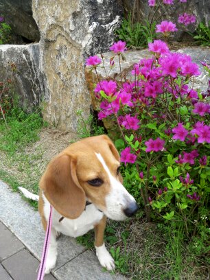 울 김해리도 2년이 다되가네요~