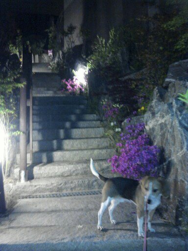 울 김해리도 2년이 다되가네요~