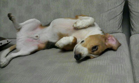 울 김해리도 2년이 다되가네요~