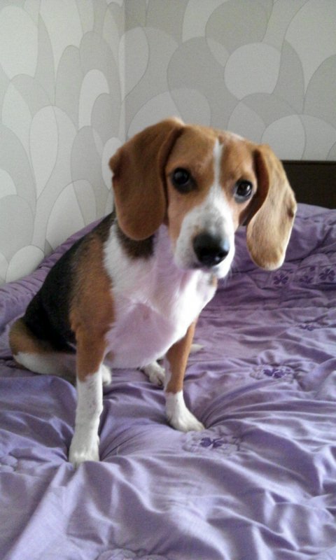 울 김해리도 2년이 다되가네요~