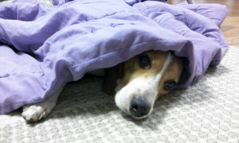 울 김해리도 2년이 다되가네요~