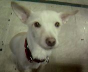 산이와강이를 기억하시는지?