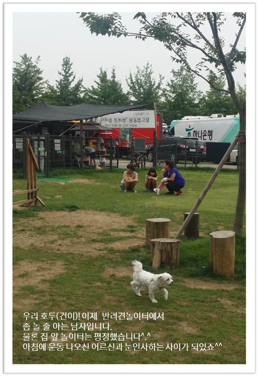 호두(건이)! 이제 9월말이면 3달입니당~