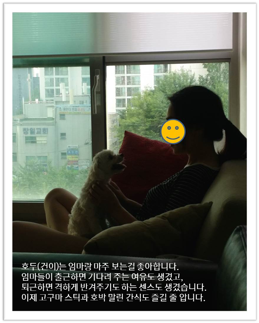 호두(건이)! 이제 9월말이면 3달입니당~