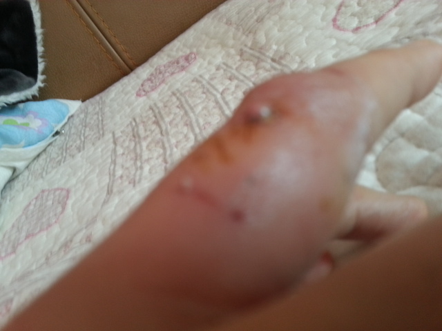 흰둥이 (사랑이) 벌써 한달이 지났네요 2차후기 망서려지더라구요