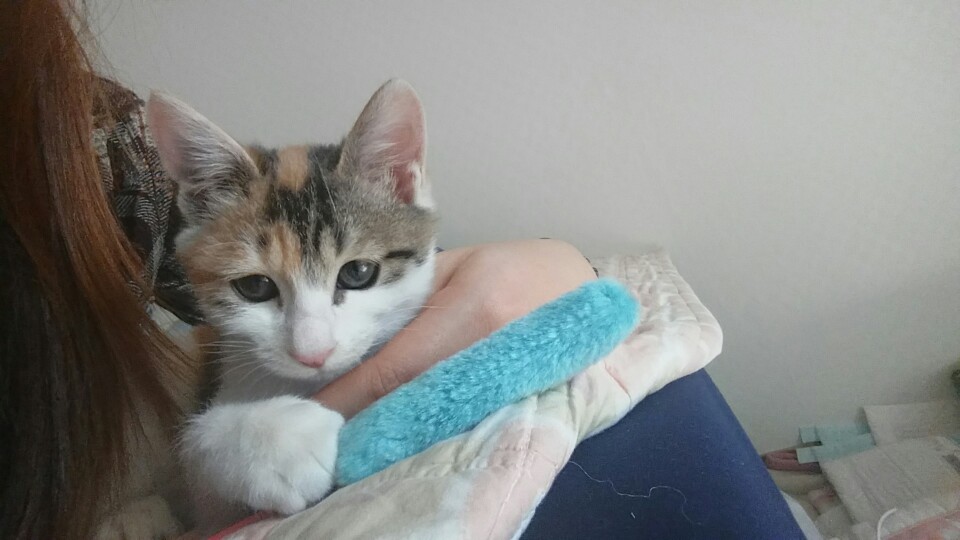 모카 입양 첫번째 후기요 ^.^