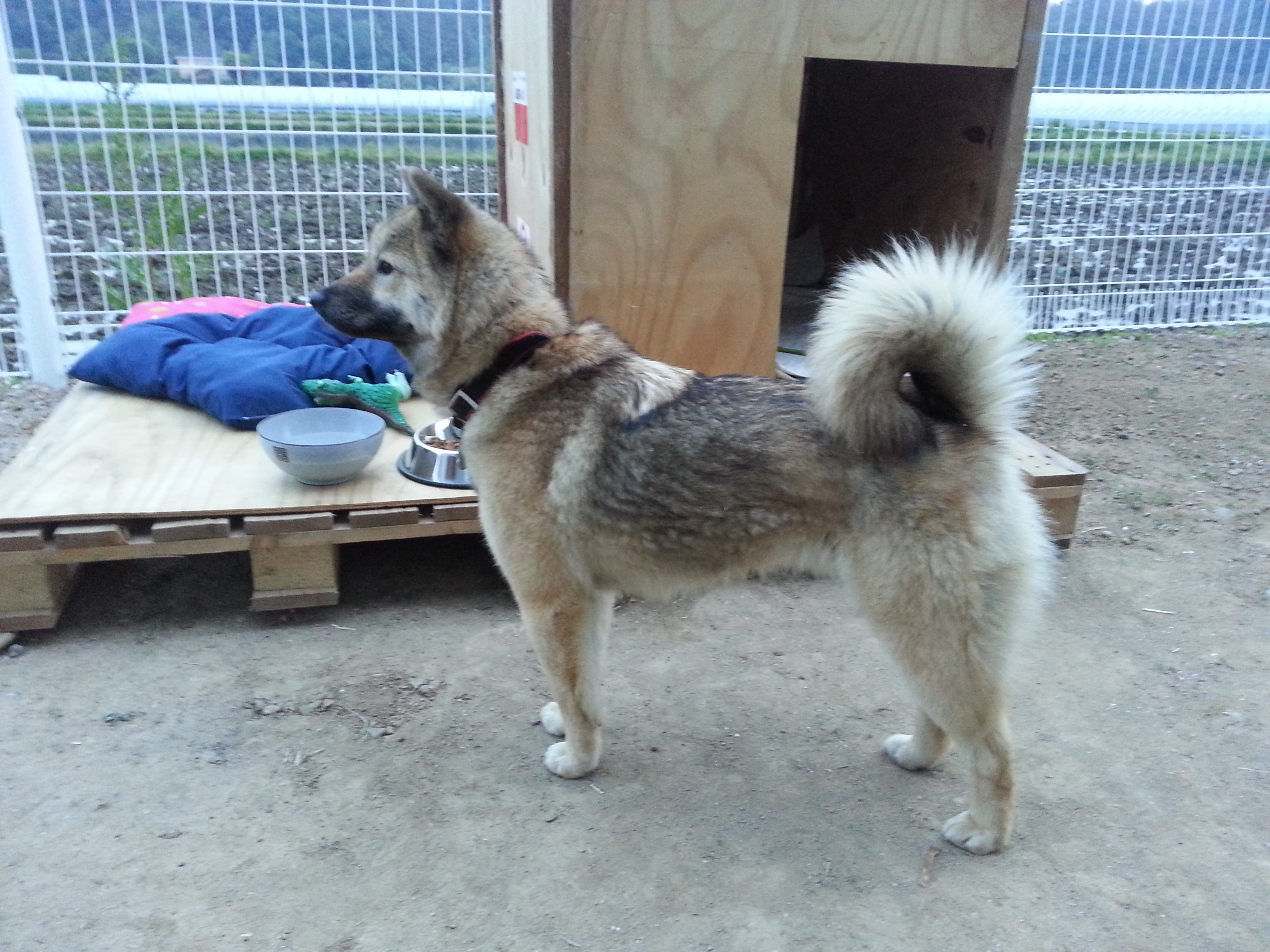 천둥이는 우리가족~!!!