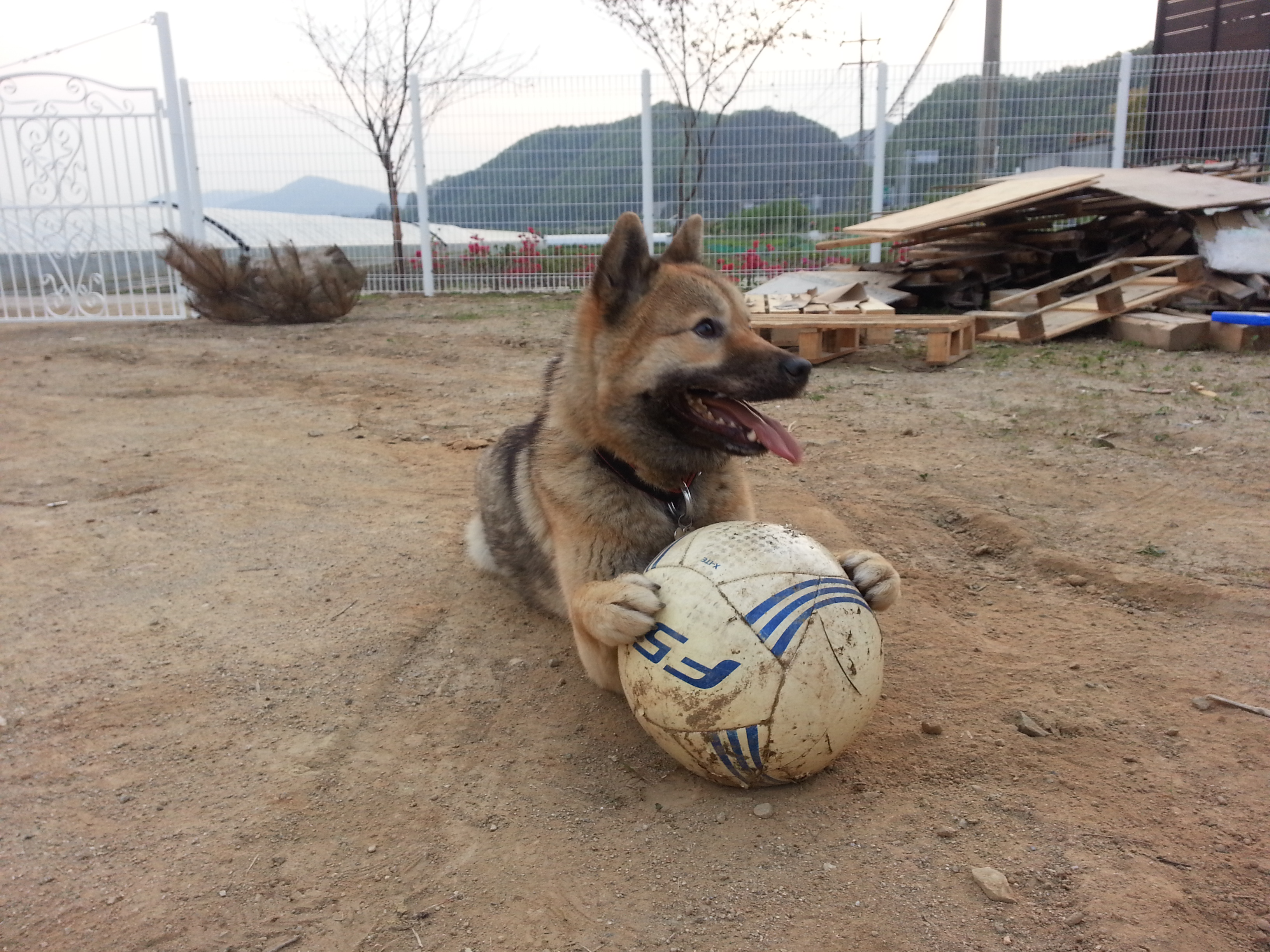 천둥이는 우리가족~!!!