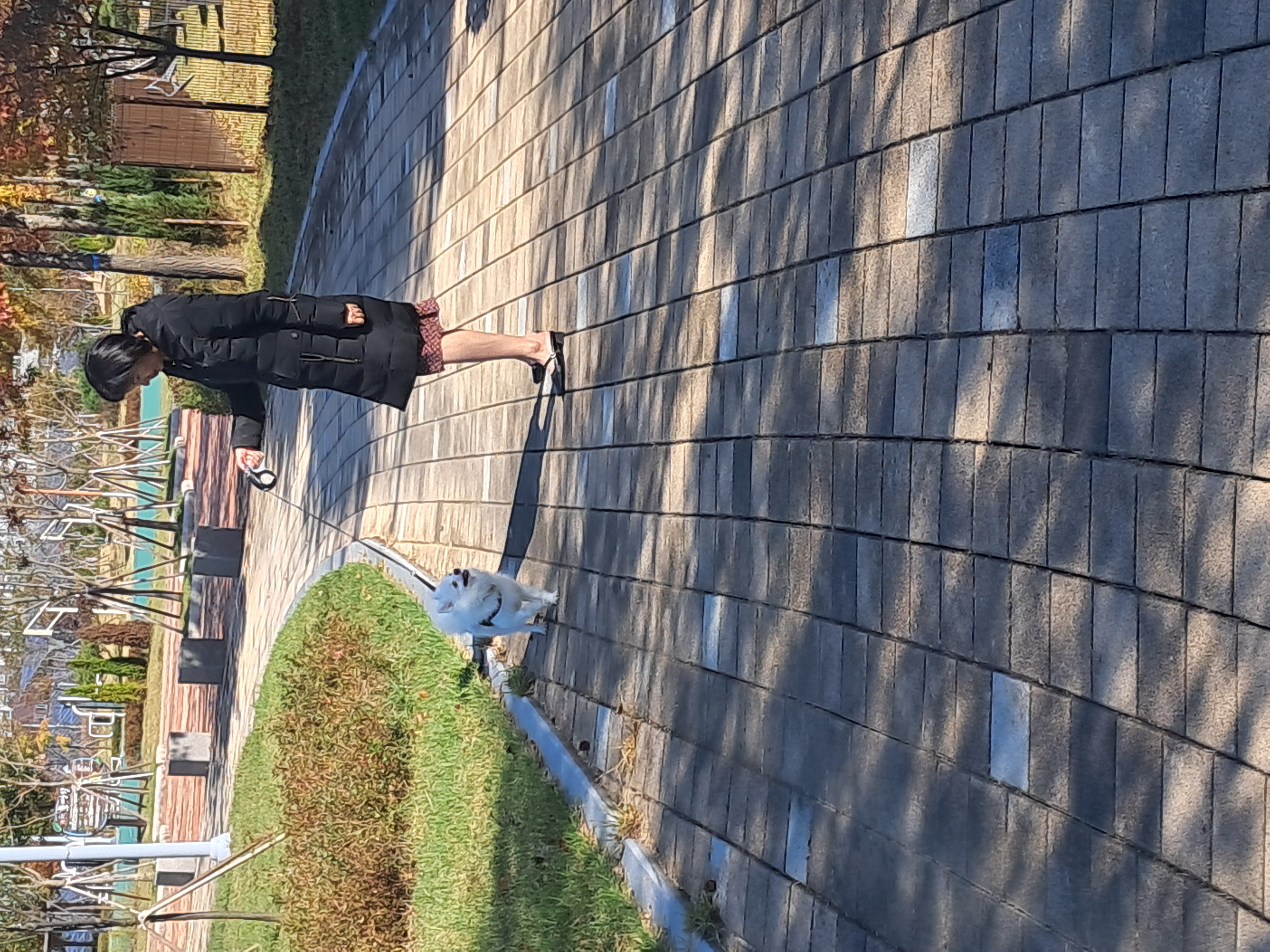 해피(뽀해)의 일상