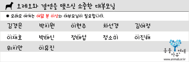 호기심 많은 아기 고양이 오레오