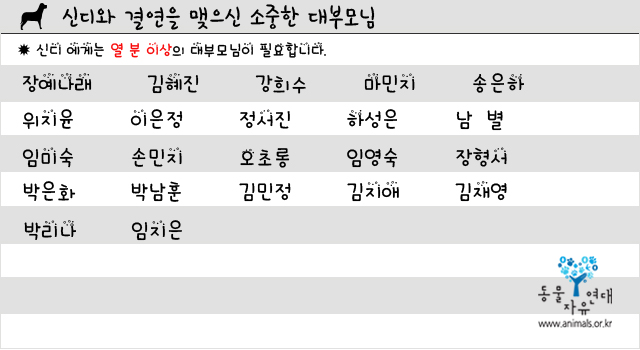 말괄량이 아가씨 신디