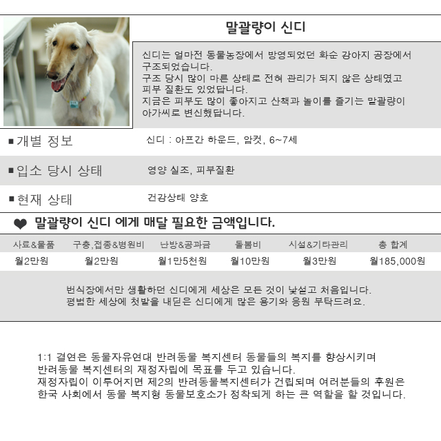 말괄량이 아가씨 신디