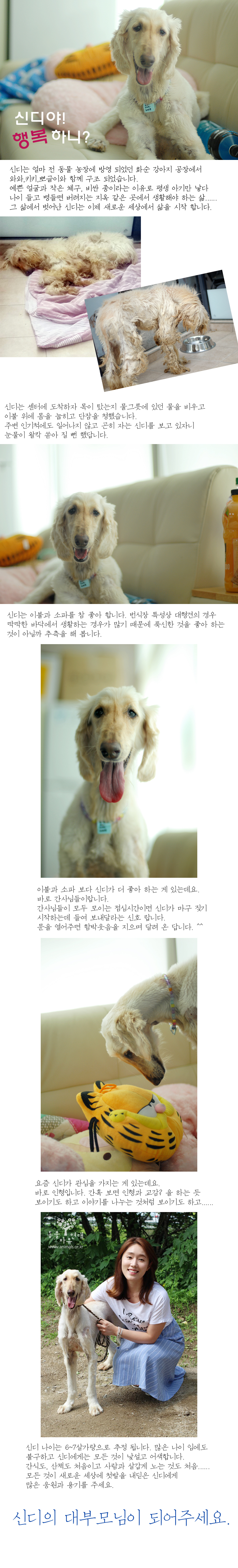 말괄량이 아가씨 신디