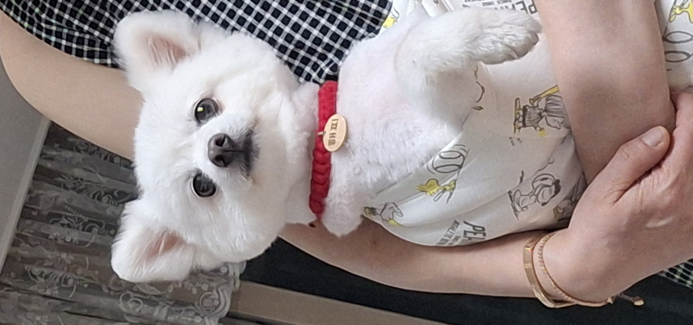 해피(뽀해)의 일상