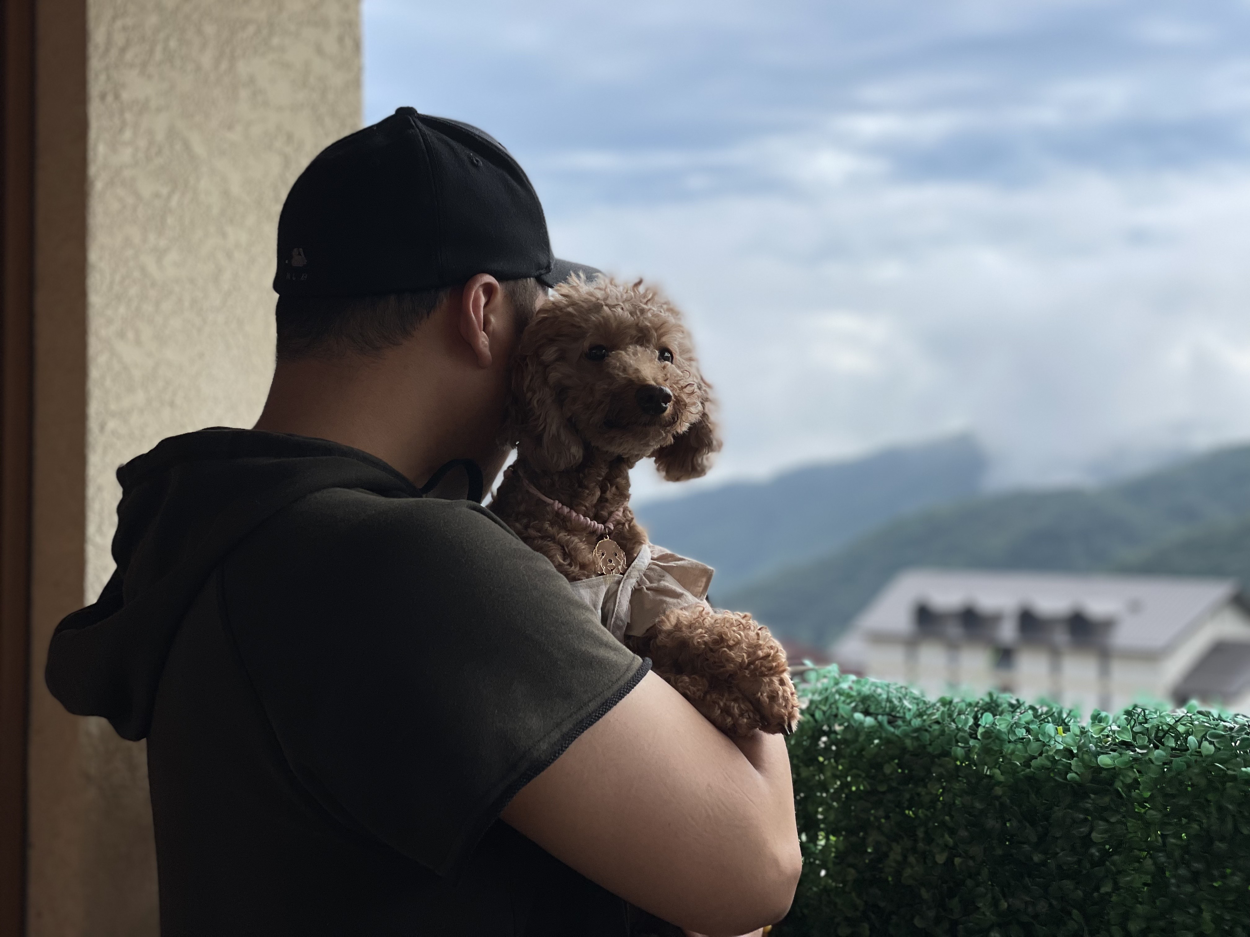 헤이즐 (곤지암 구조견) 입양 3개월 후기입니다~