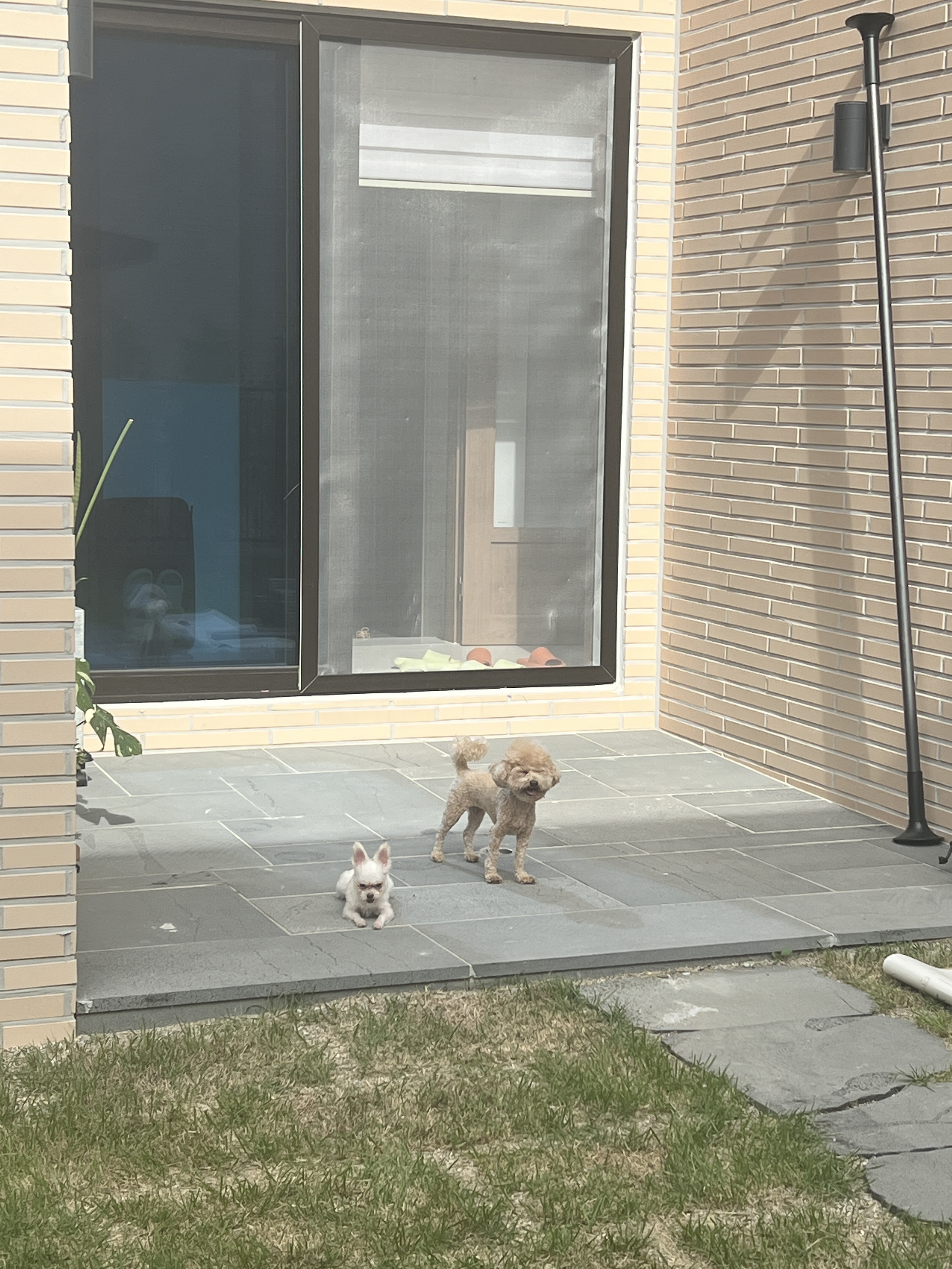 아산 가희나엘