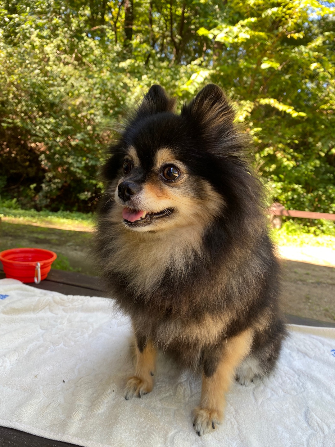 까무 입양 5주년