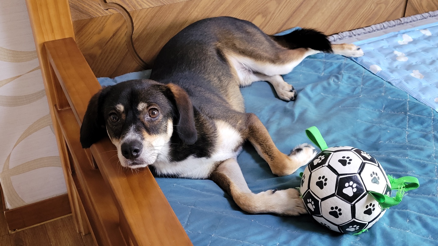 구 멍돌 현 까미 집개 라이프 2년차