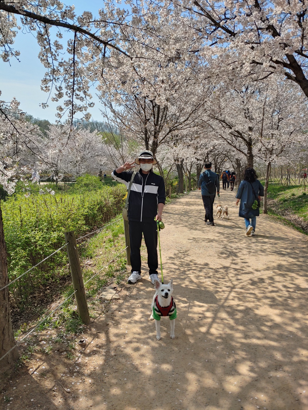 치즈 잘 지내고 있습니다~~(입양 5년차)