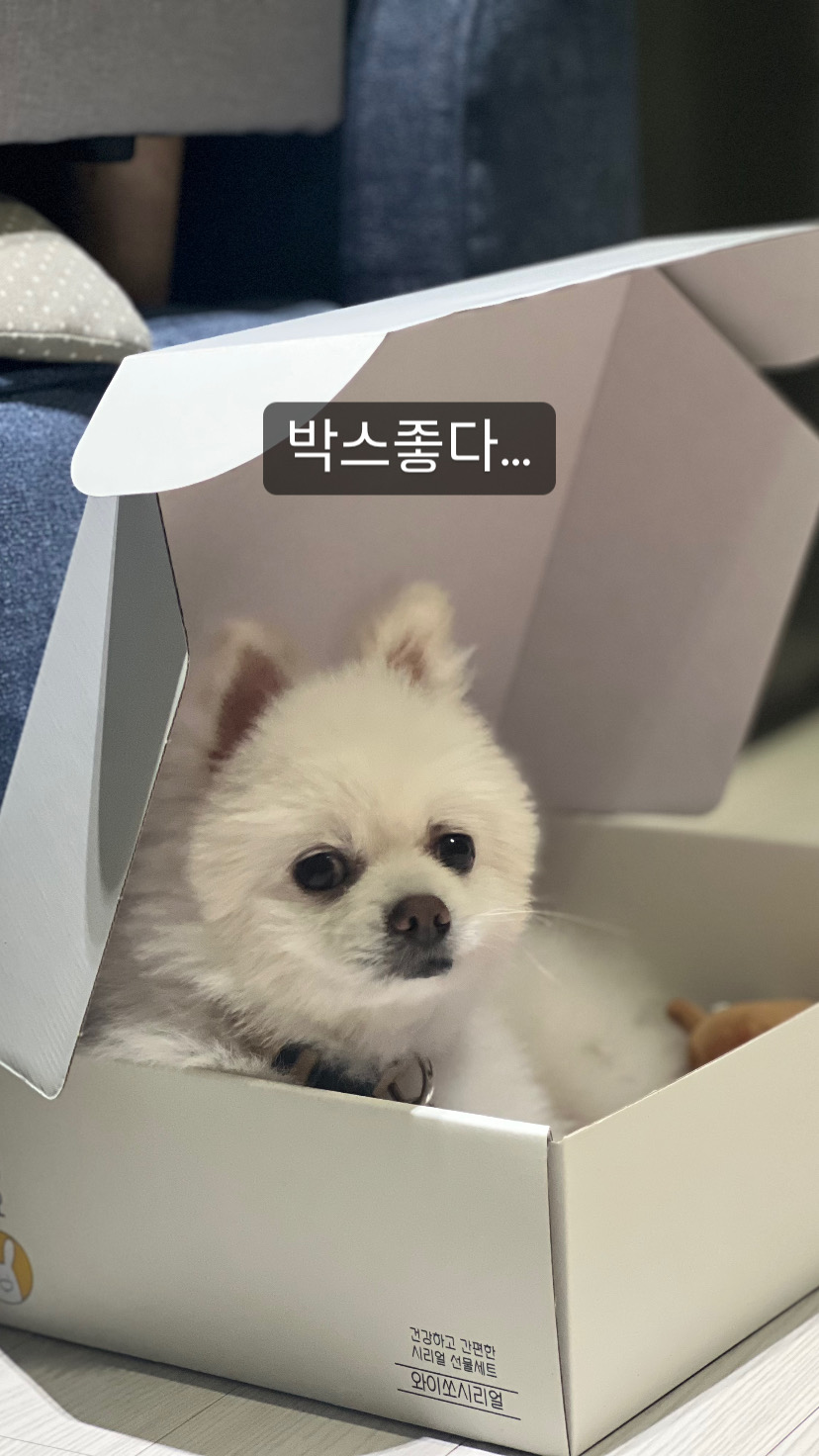 임보) 요키와 함께 한 지 일주일!