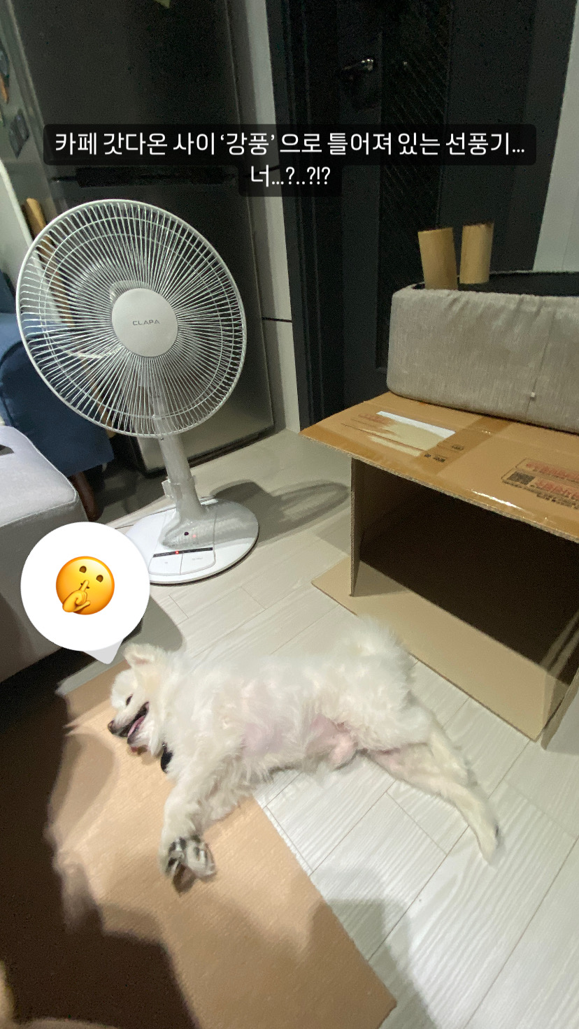 임보) 요키와 함께 한 지 일주일!