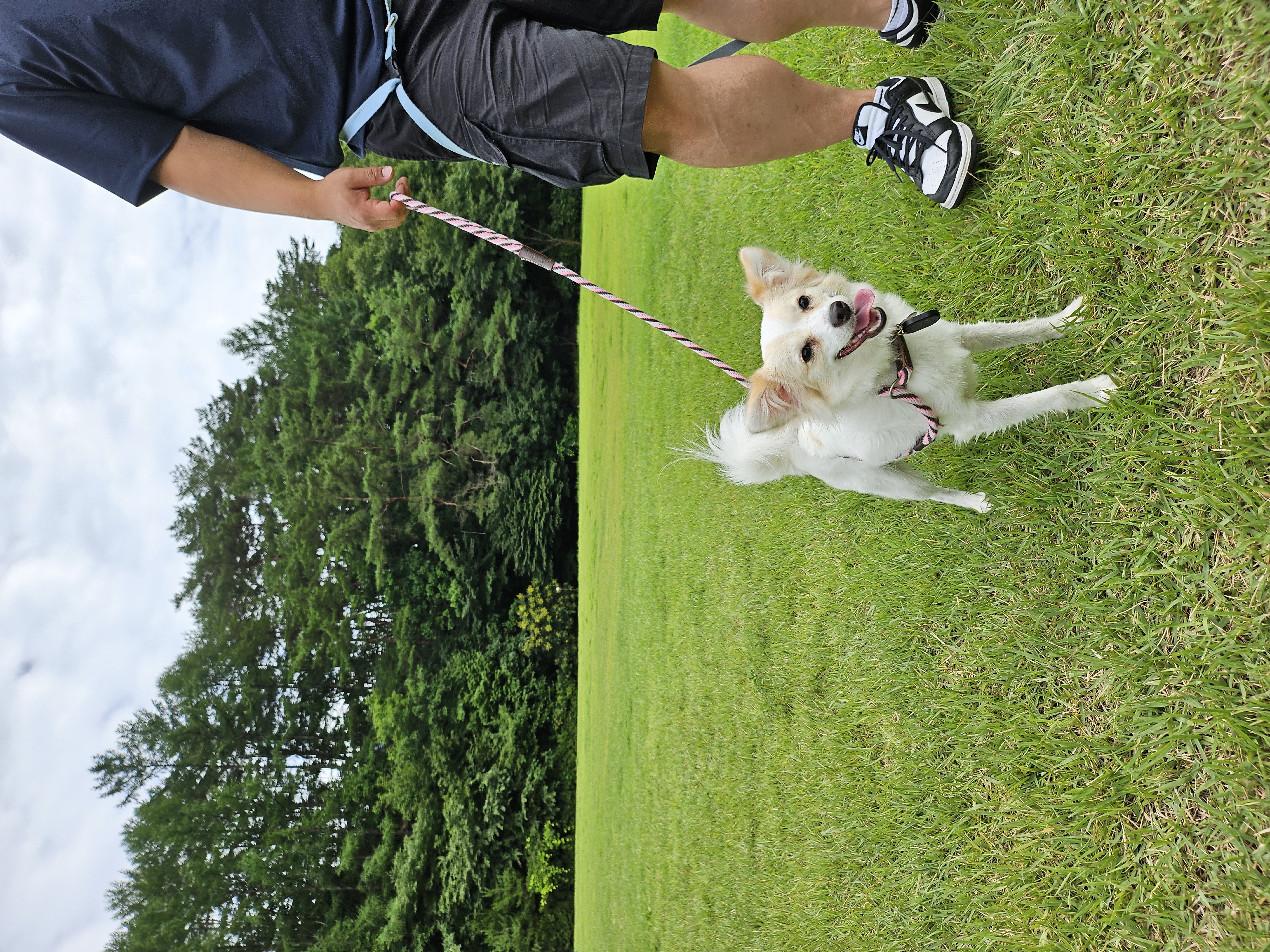 샛별이 4개월 임보