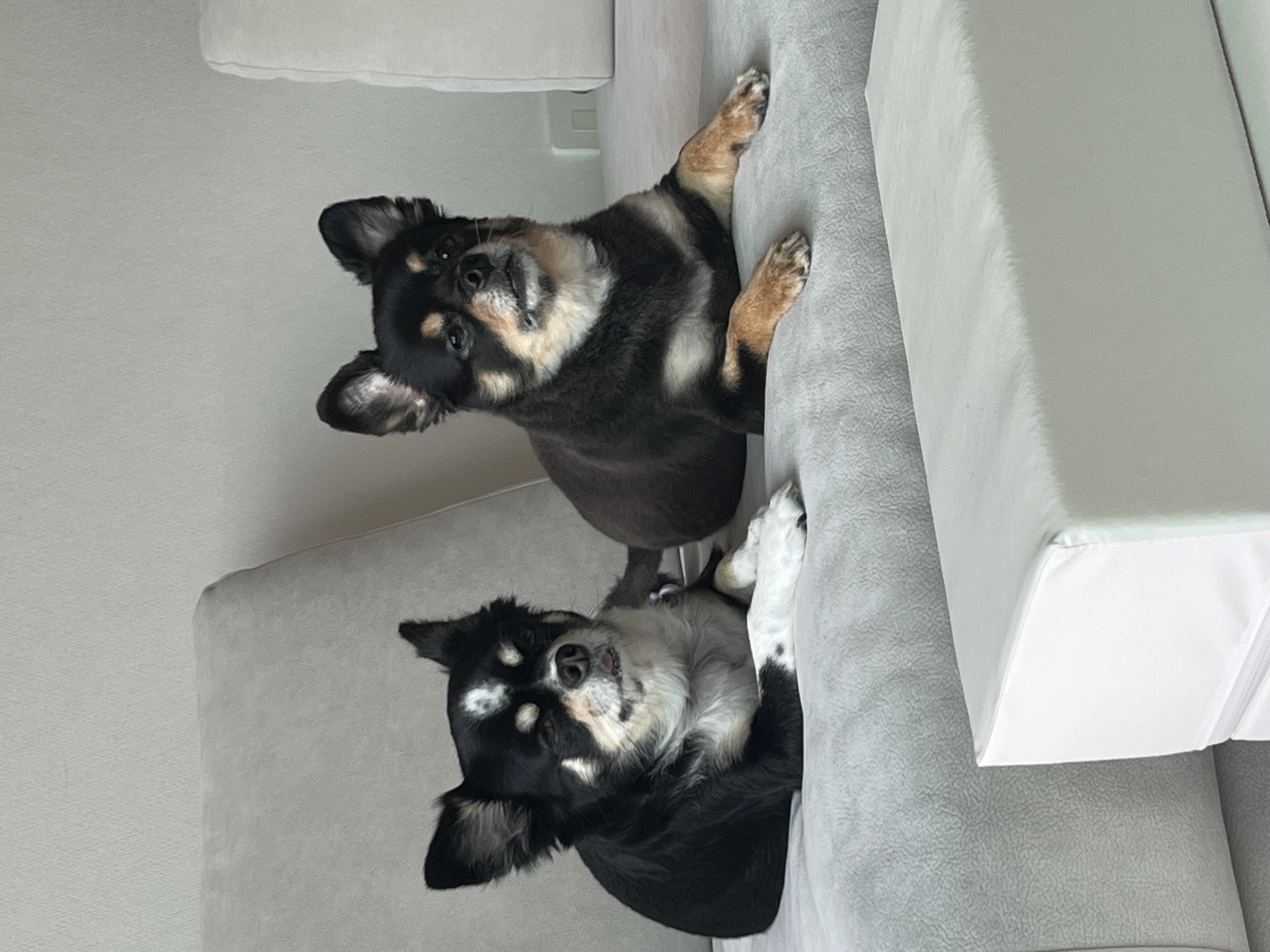 우리 나쵸나쵸❤️