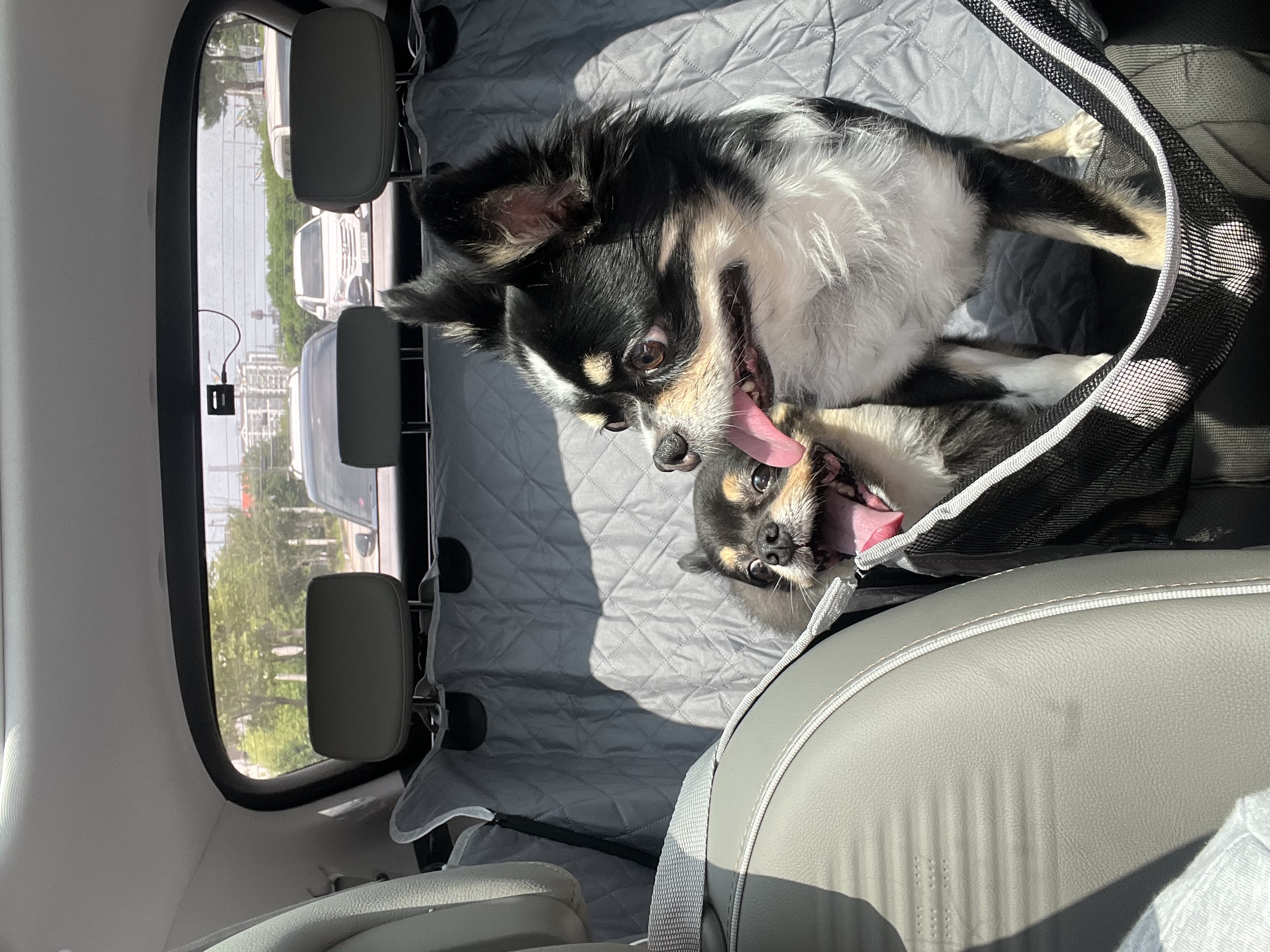 우리 나쵸나쵸❤️