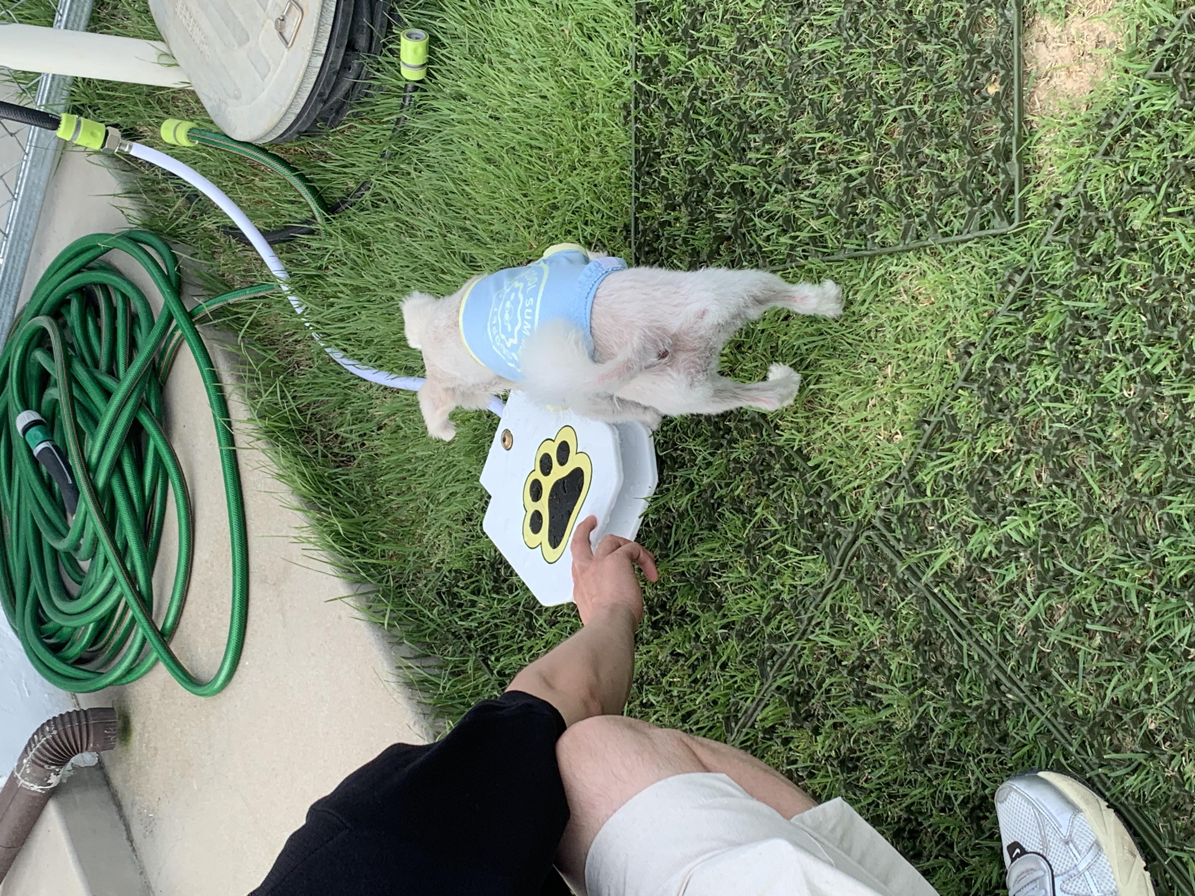 두리(소일이) 입양 2년차 이야기