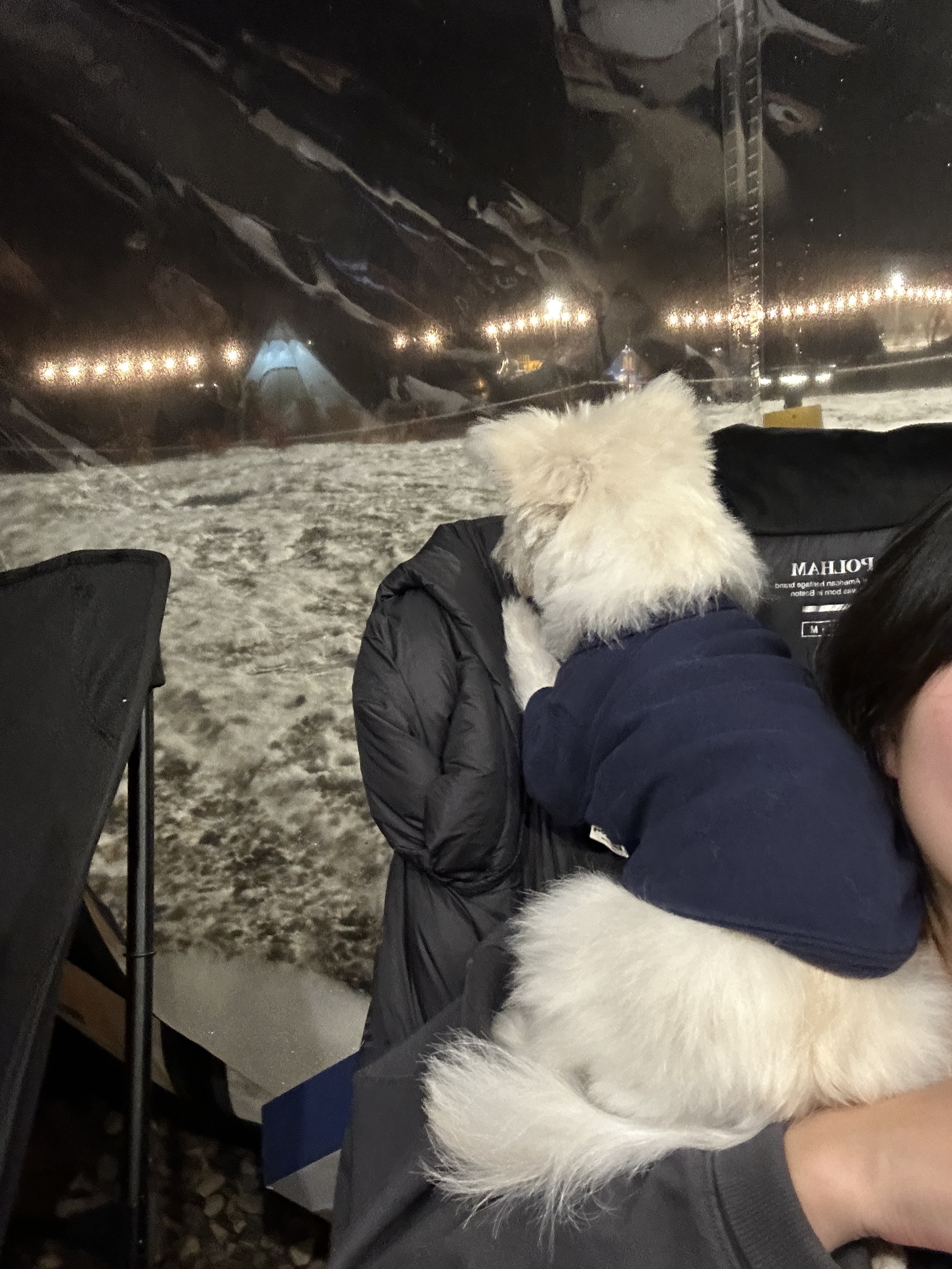 두리(소일이) 입양 2년차 이야기