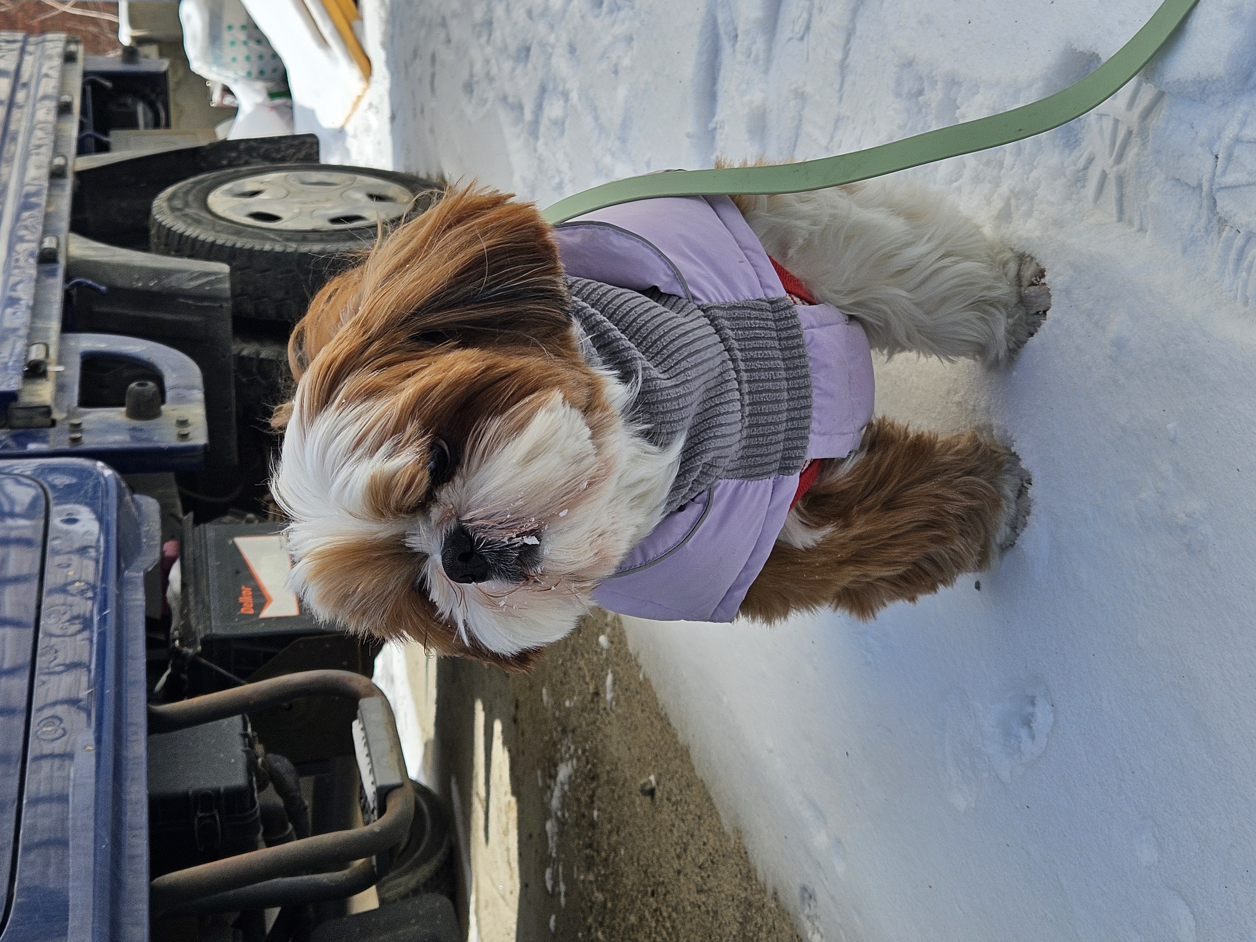 동동이(용자) 1년 되었어요