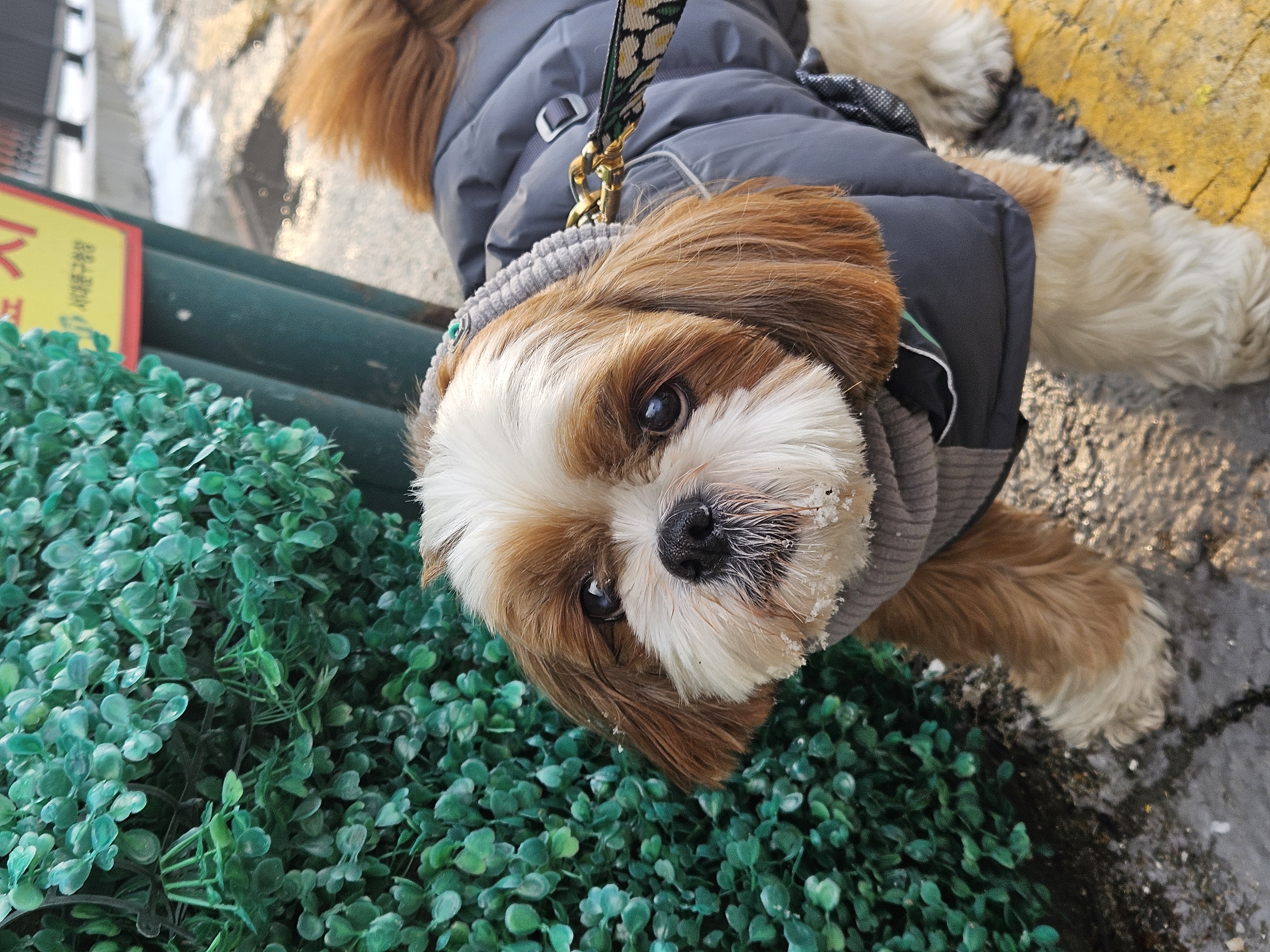 동동이(용자) 1년 되었어요