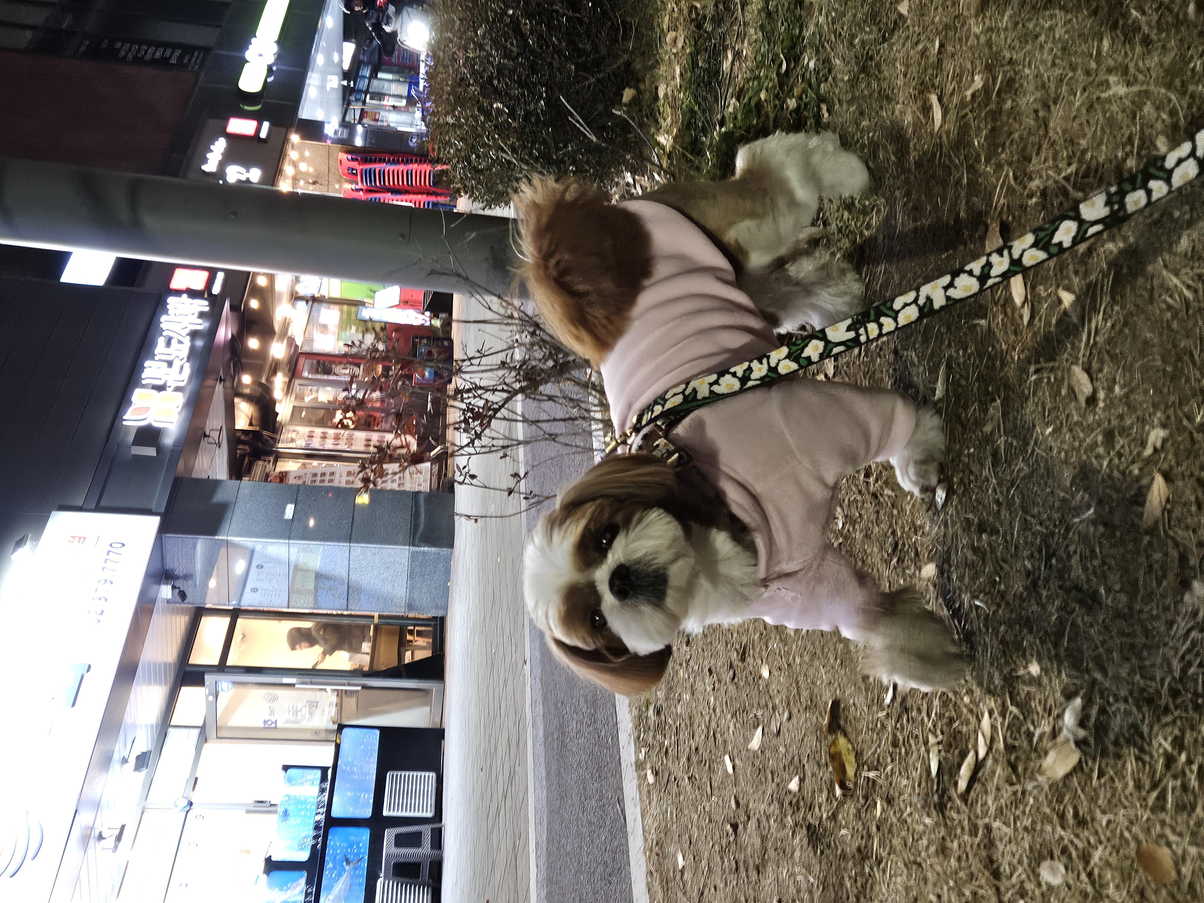 동동이(용자) 1년 되었어요